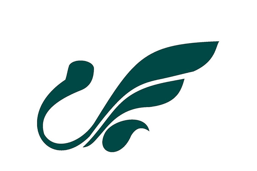 شرکت  هواپیمایی ماهان