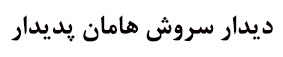 شرکت دیدار سروش هامان پدیدار